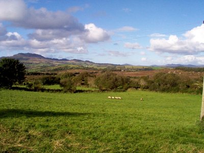 View from McCafferty cottage